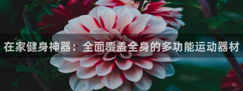 意昂体育3招商电话号码是多少啊