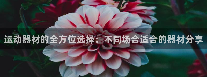 意昂体育3招商电话号码是多少