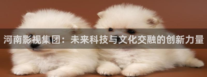 晴天影视免费下载：河南影视集团：未来科技与文化交融的创新力量
