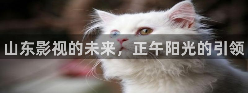 晴天影视下载官网：山东影视的未来，正午阳光的引领