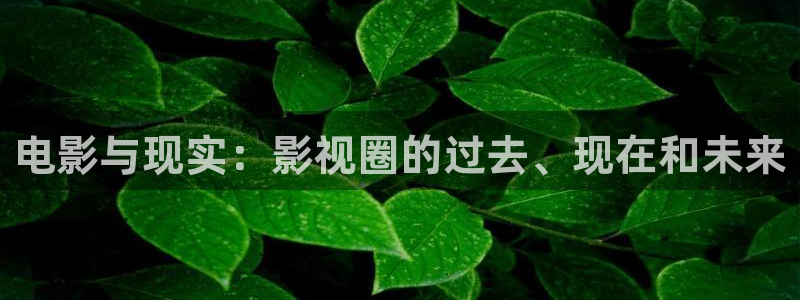 晴天影视官方下载app：电影与现实：影视圈的过去、现在和未来