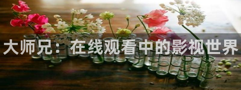 晴天影视官网：大师兄：在线观看中的影视世界