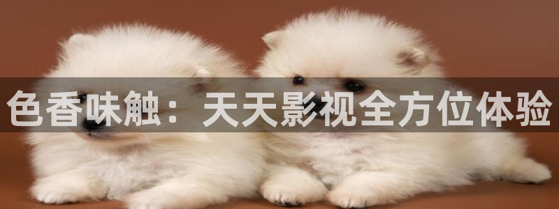 晴天影院在线观看：色香味触：天天影视全方位体验