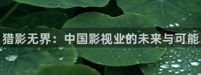 晴天影视下载最新