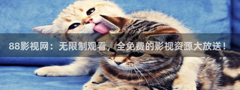 晴天影视在线观看